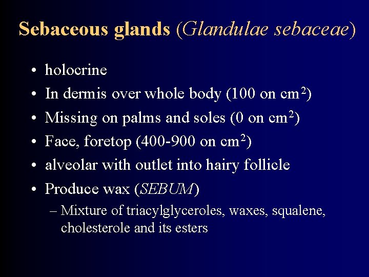 Sebaceous glands (Glandulae sebaceae) • • • holocrine In dermis over whole body (100