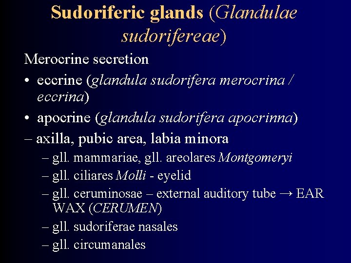 Sudoriferic glands (Glandulae sudorifereae) Merocrine secretion • eccrine (glandula sudorifera merocrina / eccrina) •