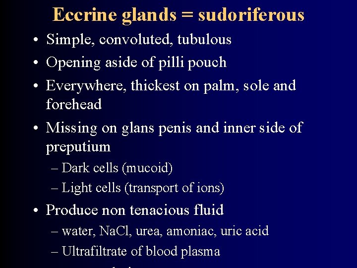 Eccrine glands = sudoriferous • Simple, convoluted, tubulous • Opening aside of pilli pouch