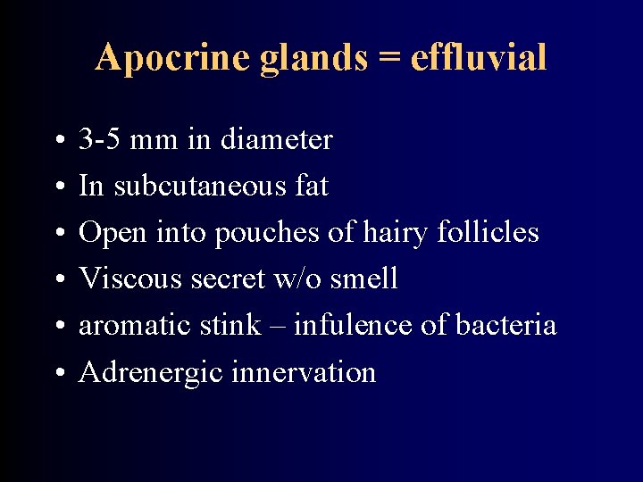 Apocrine glands = effluvial • • • 3 -5 mm in diameter In subcutaneous