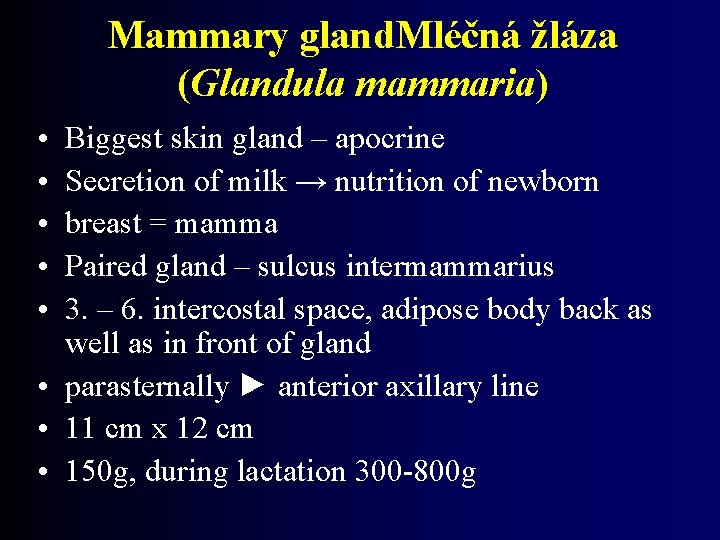 Mammary gland. Mléčná žláza (Glandula mammaria) • • • Biggest skin gland – apocrine