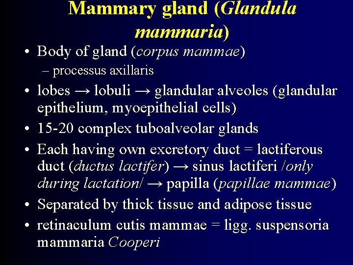 Mammary gland (Glandula mammaria) • Body of gland (corpus mammae) – processus axillaris •