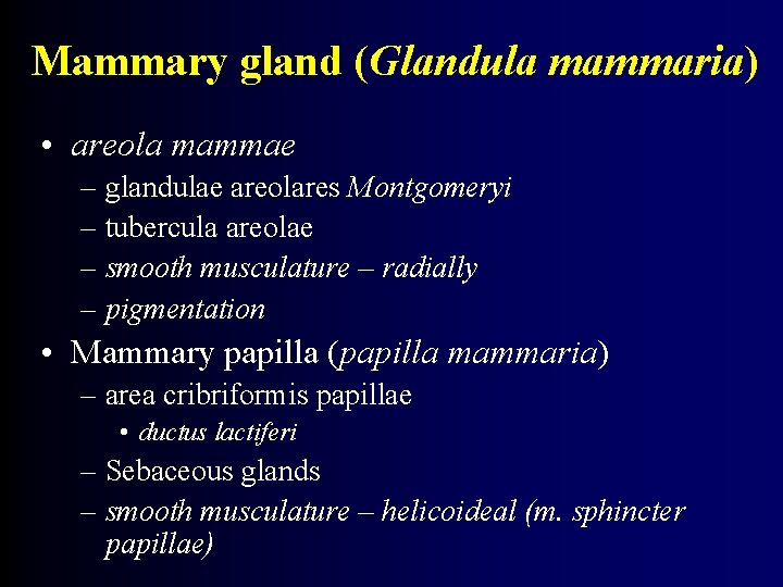 Mammary gland (Glandula mammaria) • areola mammae – glandulae areolares Montgomeryi – tubercula areolae