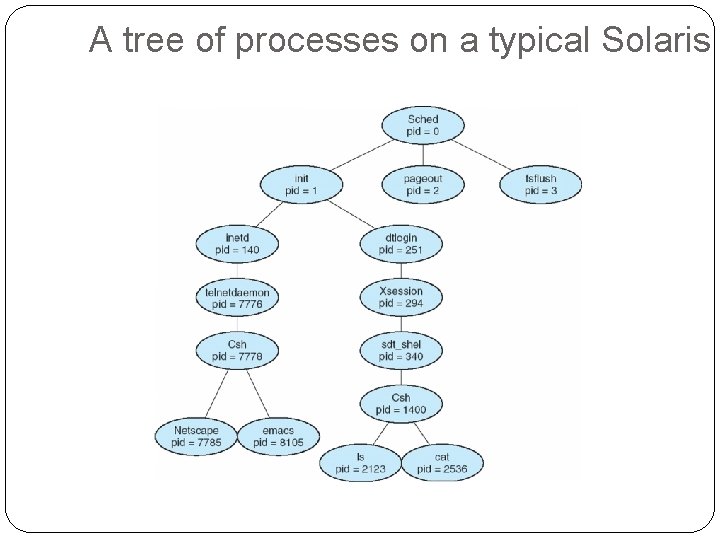 A tree of processes on a typical Solaris 