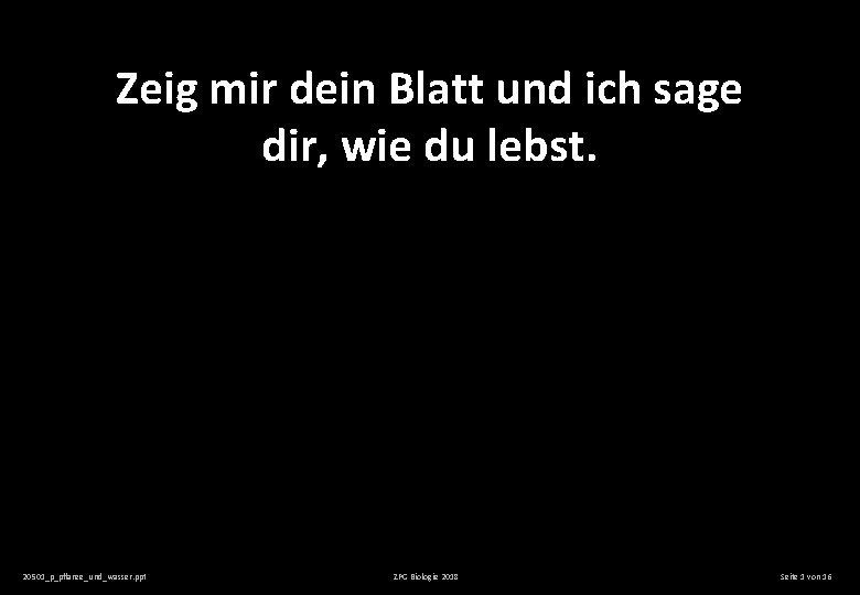 Zeig mir dein Blatt und ich sage dir, wie du lebst. 20501_p_pflanze_und_wasser. ppt ZPG