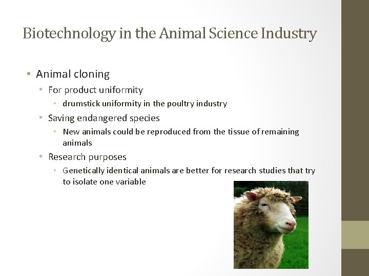 Biotechnology in the Animal Science Industry • Animal cloning • For product uniformity •