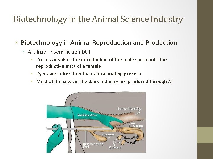 Biotechnology in the Animal Science Industry • Biotechnology in Animal Reproduction and Production •