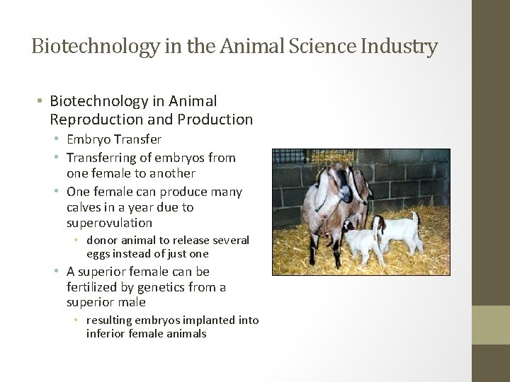 Biotechnology in the Animal Science Industry • Biotechnology in Animal Reproduction and Production •