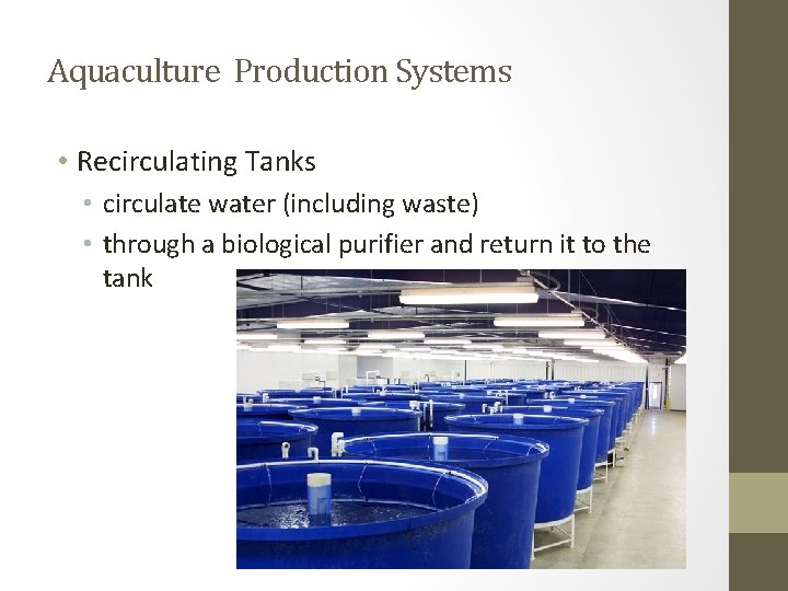 Aquaculture Production Systems • Recirculating Tanks • circulate water (including waste) • through a