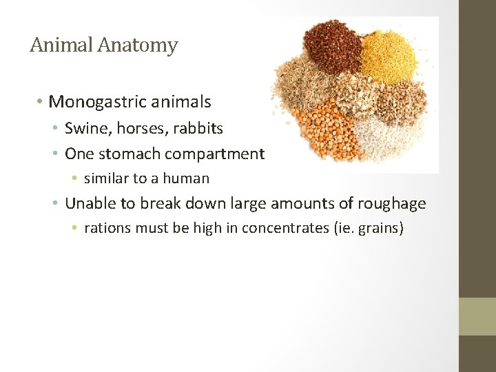 Animal Anatomy • Monogastric animals • Swine, horses, rabbits • One stomach compartment •