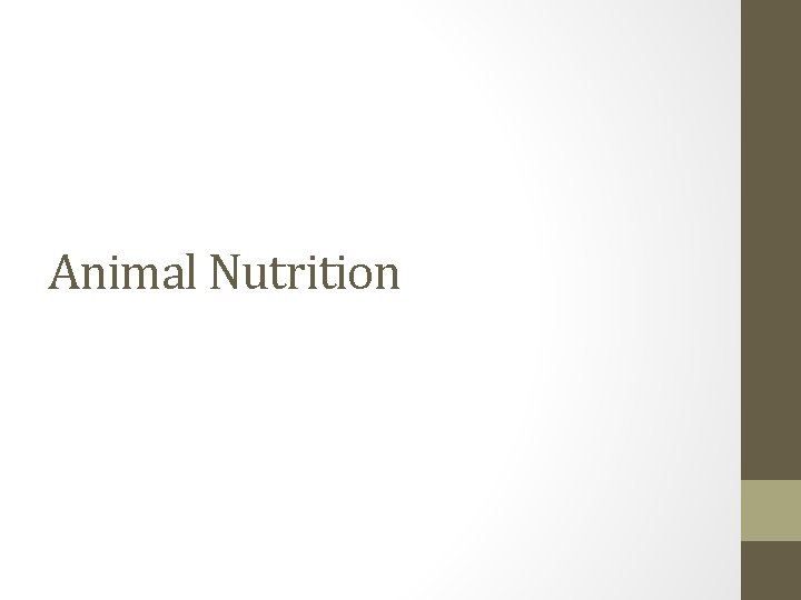 Animal Nutrition 