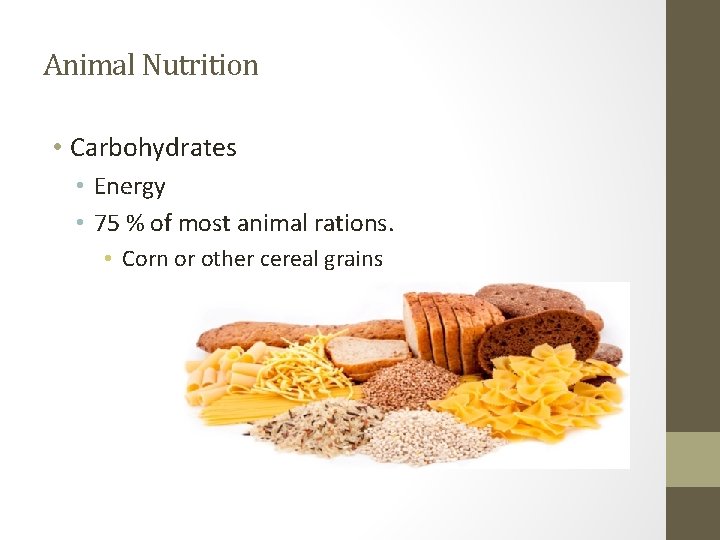 Animal Nutrition • Carbohydrates • Energy • 75 % of most animal rations. •