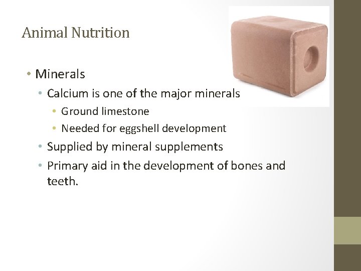 Animal Nutrition • Minerals • Calcium is one of the major minerals • Ground