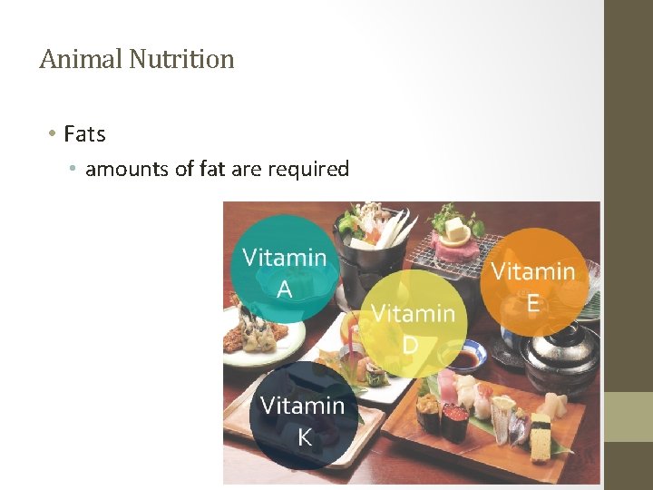 Animal Nutrition • Fats • amounts of fat are required 
