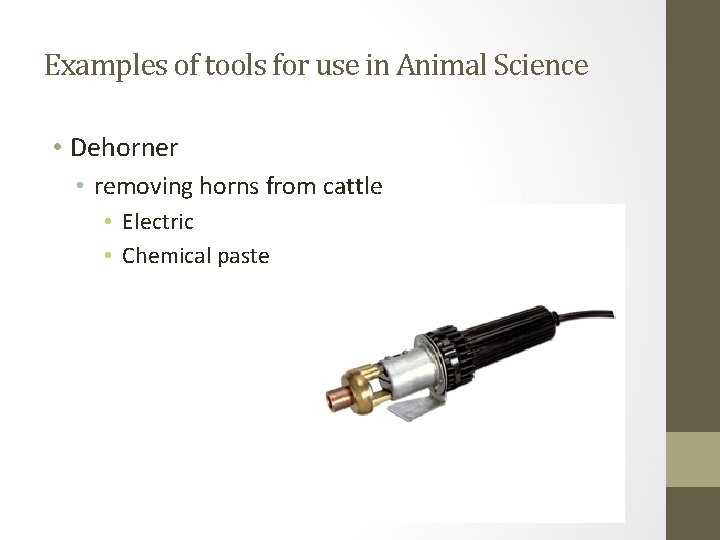 Examples of tools for use in Animal Science • Dehorner • removing horns from