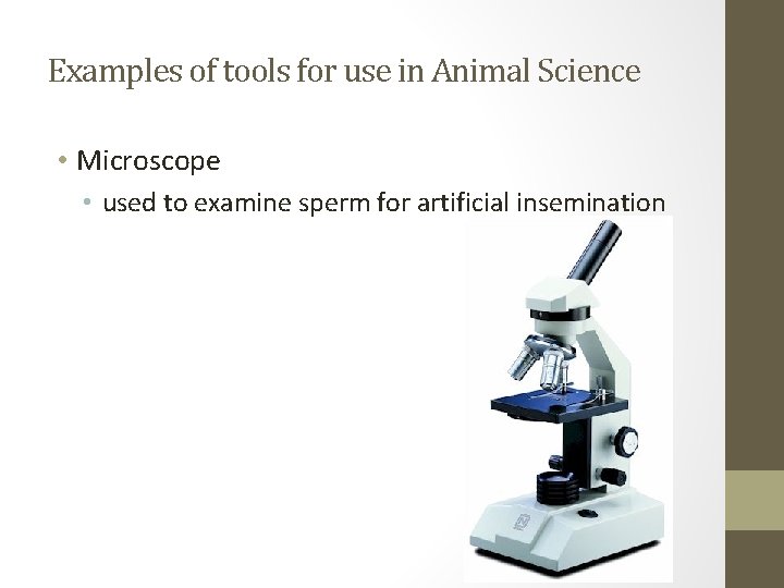 Examples of tools for use in Animal Science • Microscope • used to examine