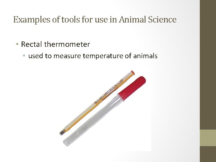 Examples of tools for use in Animal Science • Rectal thermometer • used to