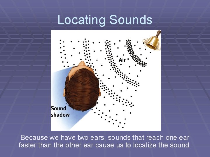 Locating Sounds Because we have two ears, sounds that reach one ear faster than