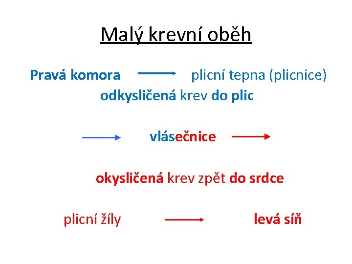 Malý krevní oběh Pravá komora plicní tepna (plicnice) odkysličená krev do plic vlásečnice okysličená