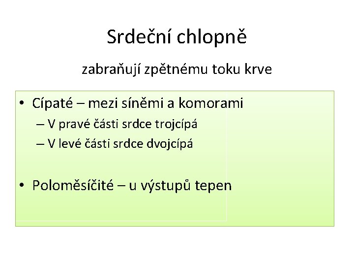 Srdeční chlopně zabraňují zpětnému toku krve • Cípaté – mezi síněmi a komorami –