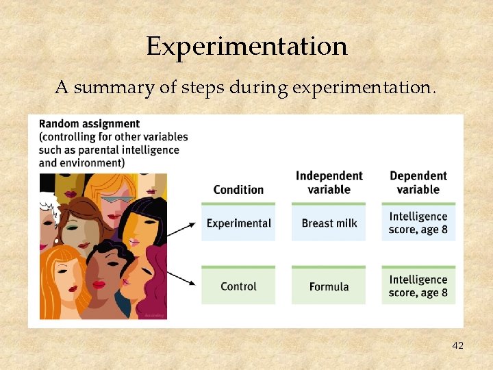 Experimentation A summary of steps during experimentation. 42 