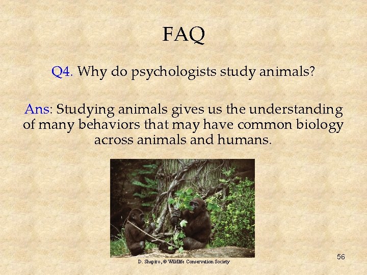 FAQ Q 4. Why do psychologists study animals? Ans: Studying animals gives us the