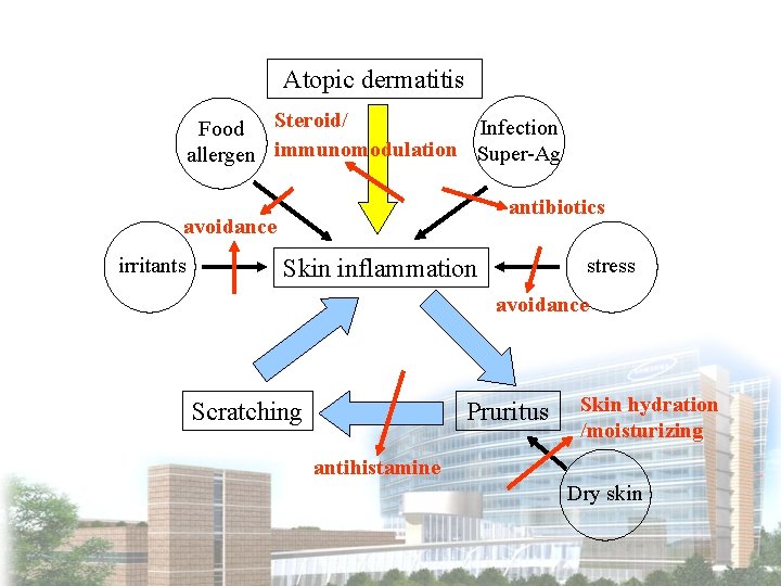 Atopic dermatitis Infection Food Steroid/ allergen immunomodulation Super-Ag antibiotics avoidance irritants stress Skin inflammation