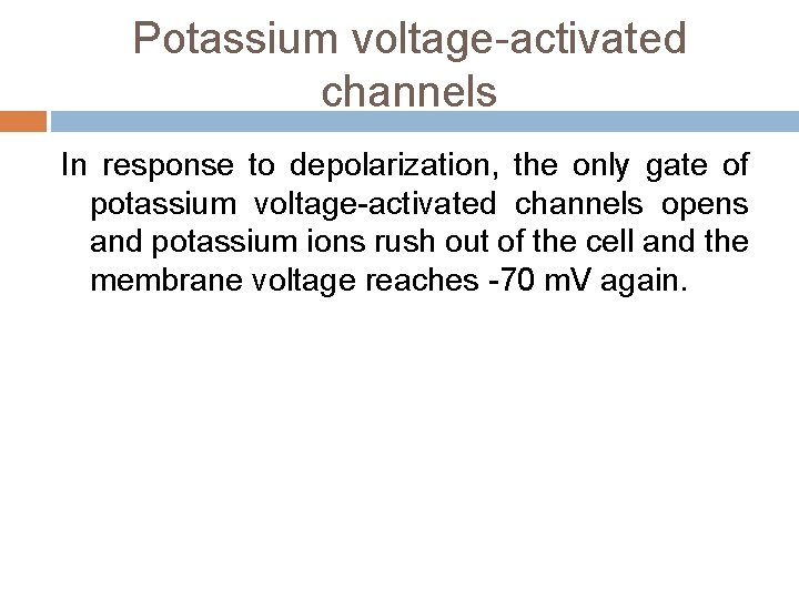 Potassium voltage-activated channels In response to depolarization, the only gate of potassium voltage-activated channels