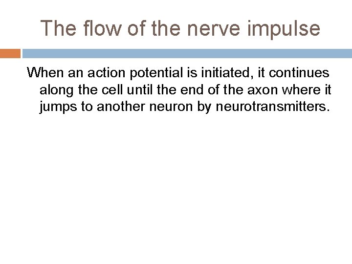 The flow of the nerve impulse When an action potential is initiated, it continues