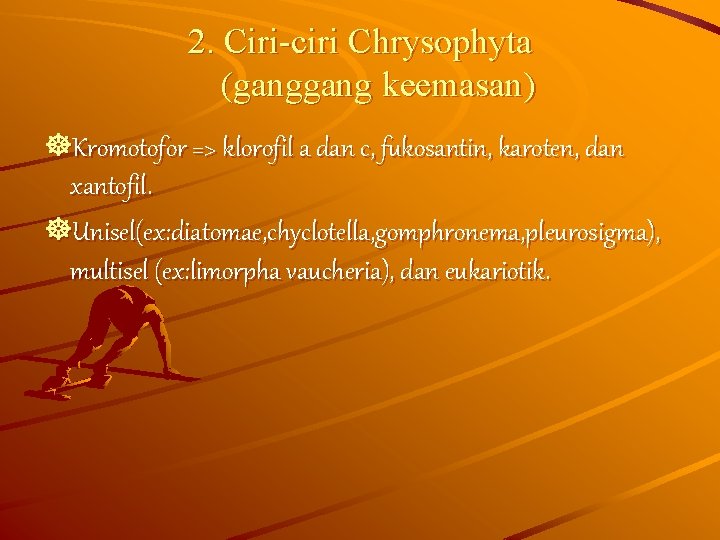 2. Ciri-ciri Chrysophyta (gang keemasan) ]Kromotofor => klorofil a dan c, fukosantin, karoten, dan