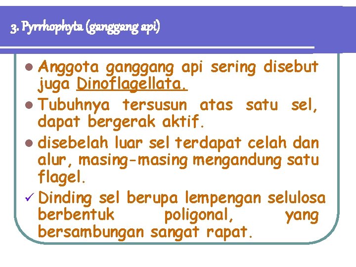 3. Pyrrhophyta (gang api) l Anggota gang api sering disebut juga Dinoflagellata. l Tubuhnya