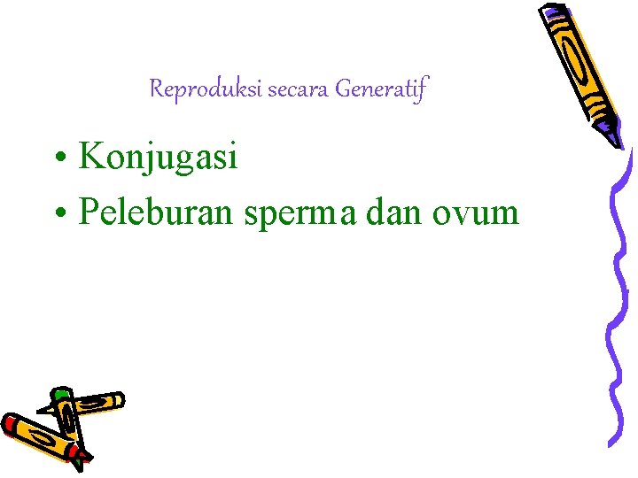 Reproduksi secara Generatif • Konjugasi • Peleburan sperma dan ovum 