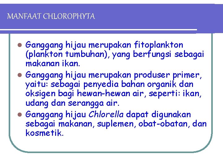 MANFAAT CHLOROPHYTA Ganggang hijau merupakan fitoplankton (plankton tumbuhan), yang berfungsi sebagai makanan ikan. l