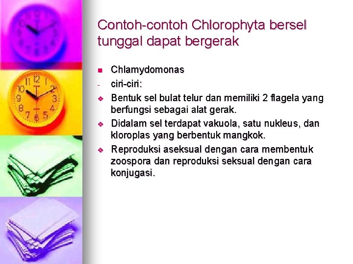 Contoh-contoh Chlorophyta bersel tunggal dapat bergerak n v v v Chlamydomonas ciri-ciri: Bentuk sel