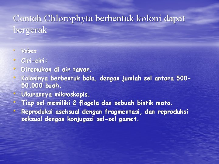 Contoh Chlorophyta berbentuk koloni dapat bergerak • Volvox • • • Ciri-ciri: Ditemukan di