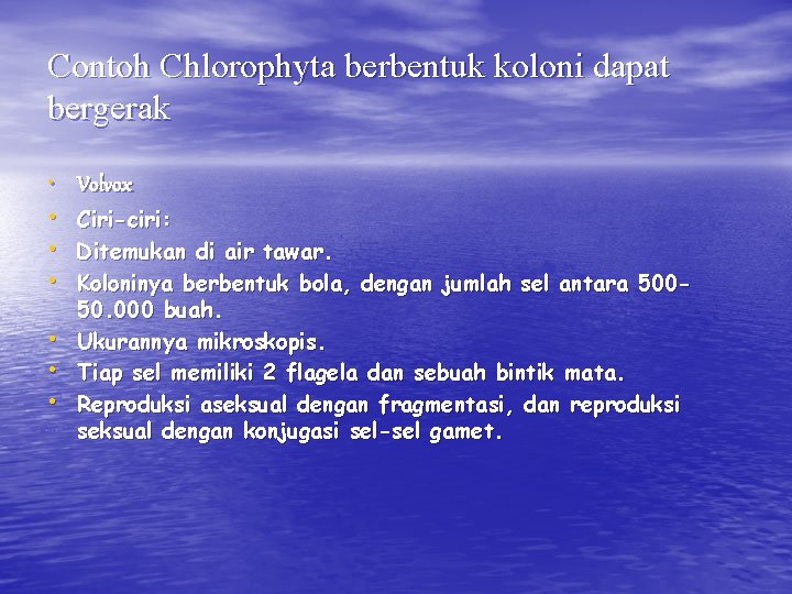 Contoh Chlorophyta berbentuk koloni dapat bergerak • Volvox • • • Ciri-ciri: Ditemukan di