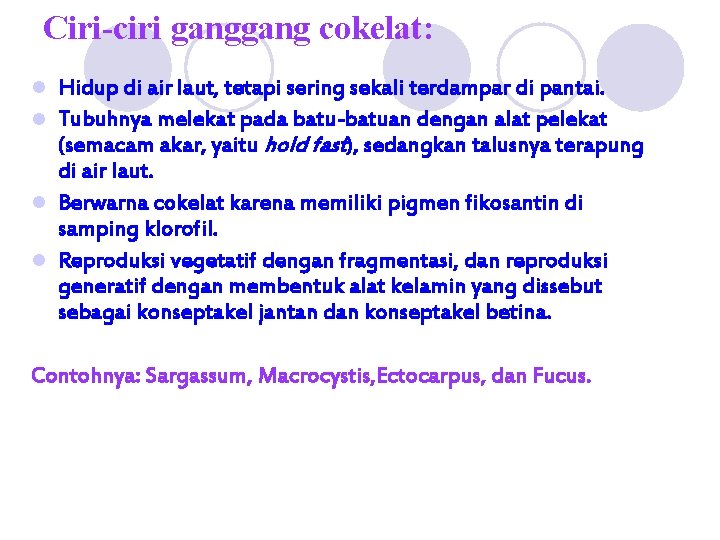 Ciri-ciri gang cokelat: Hidup di air laut, tetapi sering sekali terdampar di pantai. l