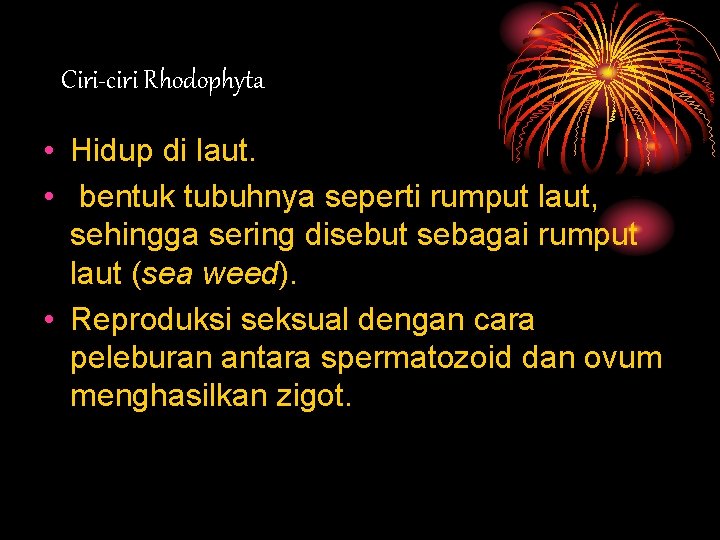 Ciri-ciri Rhodophyta • Hidup di laut. • bentuk tubuhnya seperti rumput laut, sehingga sering