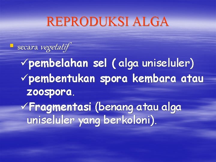 REPRODUKSI ALGA § secara vegetatif üpembelahan sel ( alga uniseluler) üpembentukan spora kembara atau