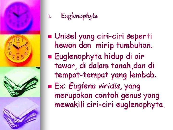 1. Euglenophyta Unisel yang ciri-ciri seperti hewan dan mirip tumbuhan. n Euglenophyta hidup di