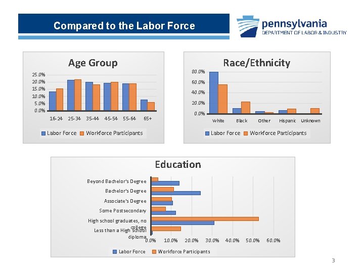 Compared to the Labor Force Age Group Race/Ethnicity 80. 0% 25. 0% 20. 0%