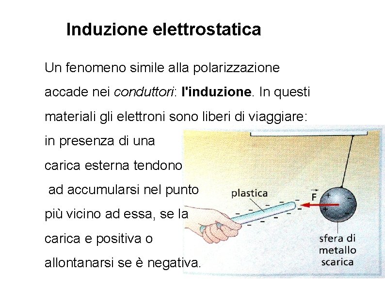 Induzione elettrostatica Un fenomeno simile alla polarizzazione accade nei conduttori: l'induzione. In questi materiali