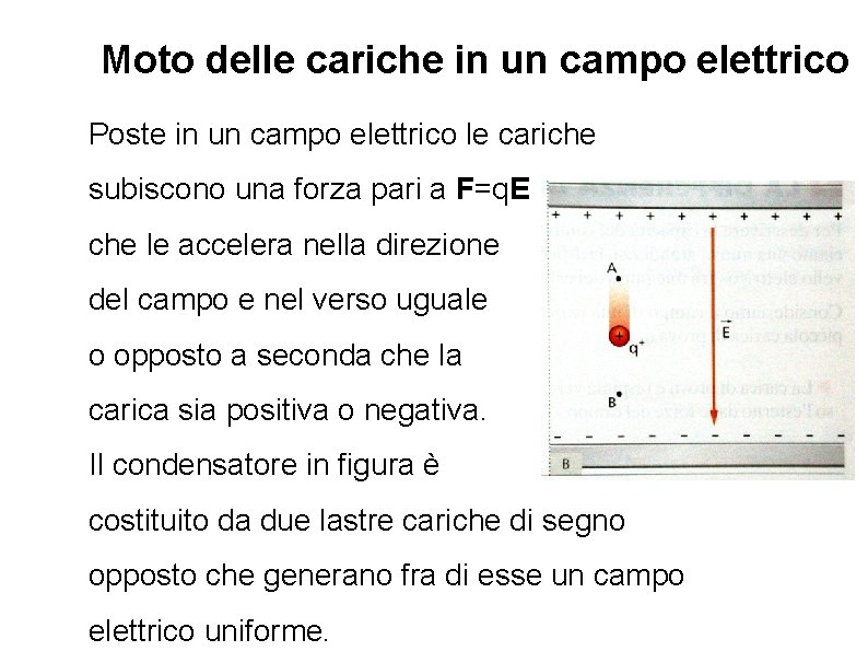 Moto delle cariche in un campo elettrico Poste in un campo elettrico le cariche