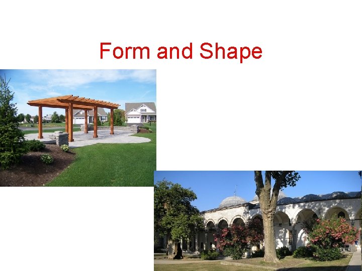 Form and Shape 