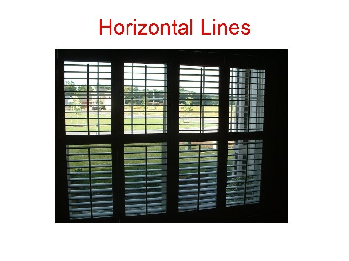 Horizontal Lines 