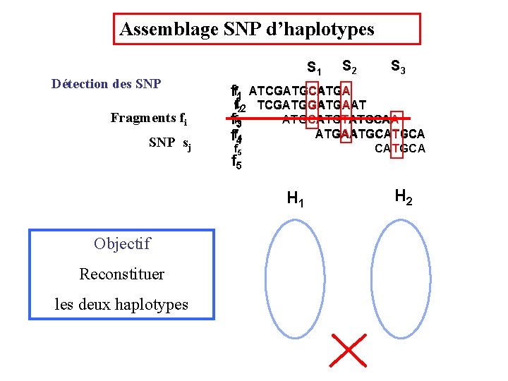 Assemblage SNP d’haplotypes Détection des SNP Fragments fi SNP sj S 1 Reconstituer les