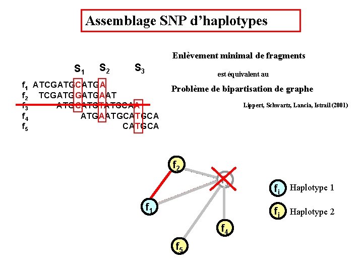 Assemblage SNP d’haplotypes Enlèvement minimal de fragments S 1 S 2 S 3 est