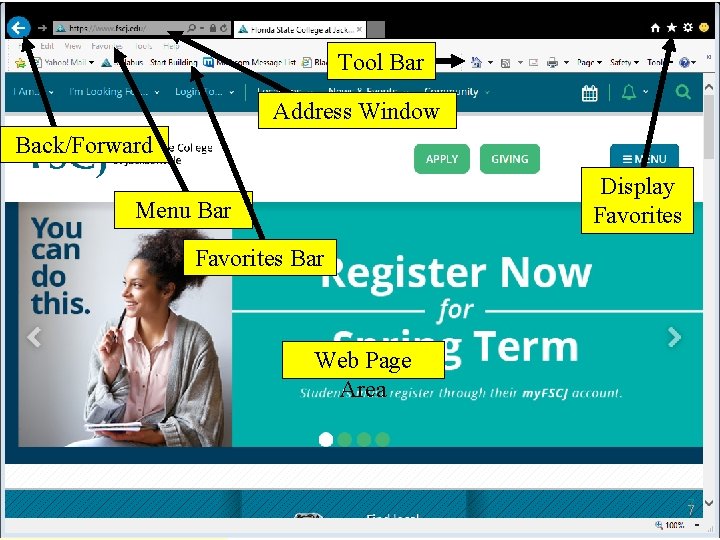 Tool Bar Address Window Back/Forward Display Favorites Menu Bar Favorites Bar Web Page Area