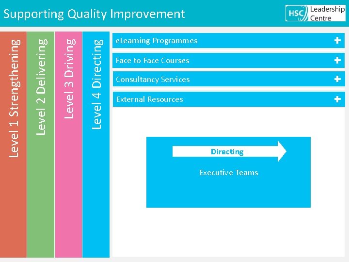 Level 4 Directing Level 3 Driving Level 2 Delivering Level 1 Strengthening Supporting Quality