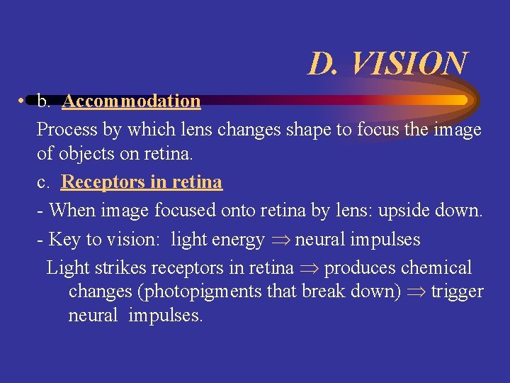 D. VISION • b. Accommodation Process by which lens changes shape to focus the
